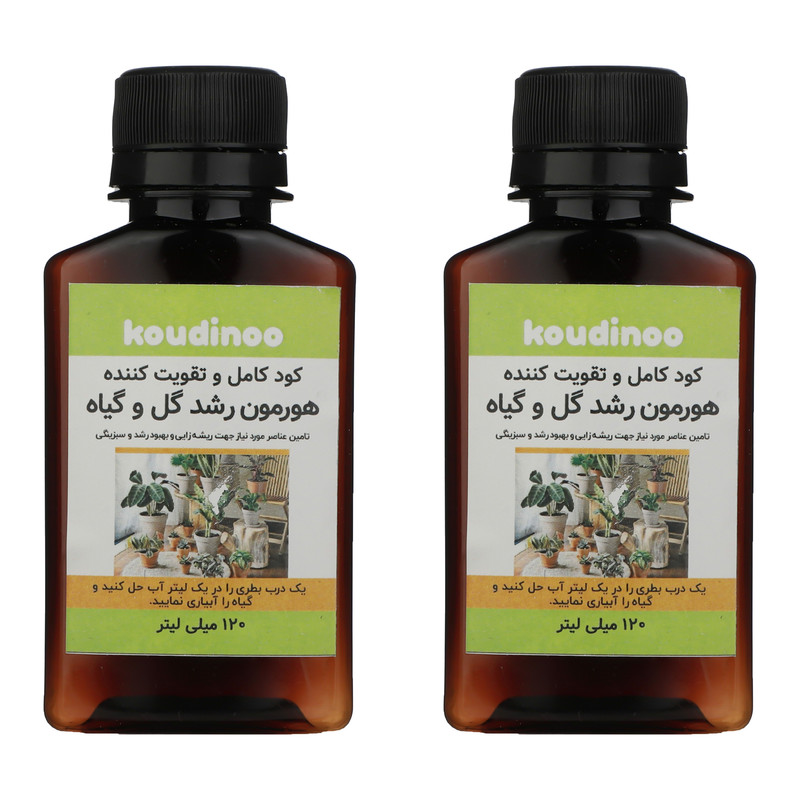 کود کامل و تقویت کننده هورمون رشد گل و گیاه کودینو مدل K-20 حجم 120 میلی لیتر بسته 2 عددی