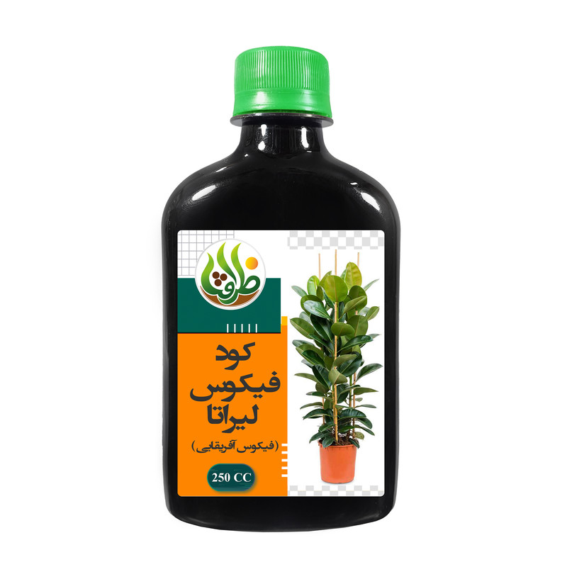 کود فیکوس لیراتا ظرافت مدل KO18912 حجم 250 میلی لیتر
